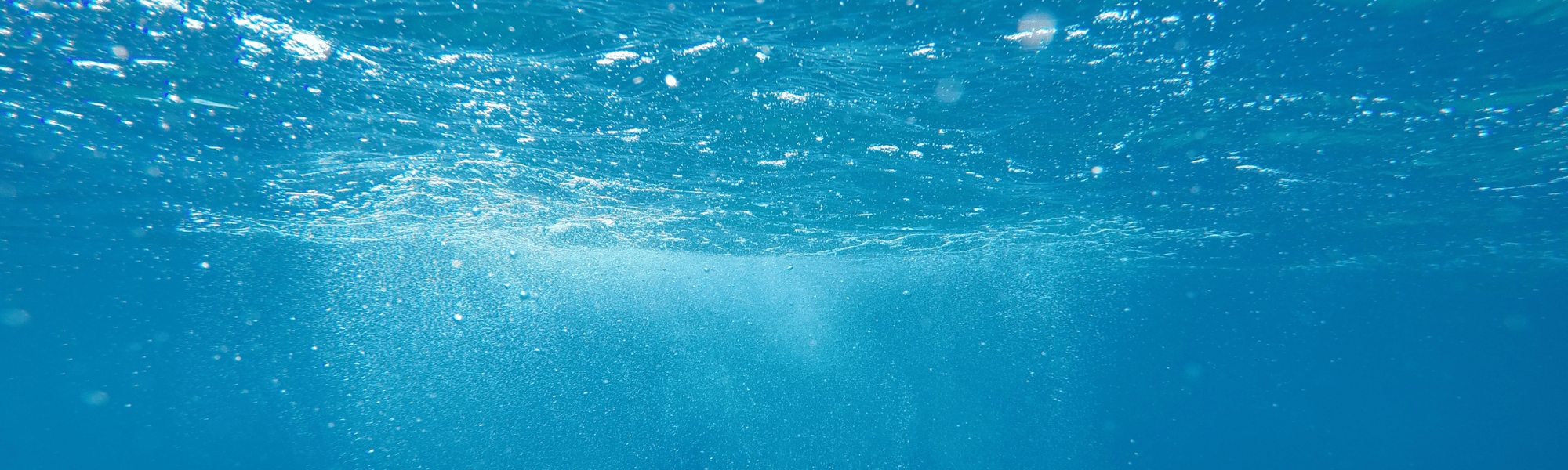 Ocean Business 2025